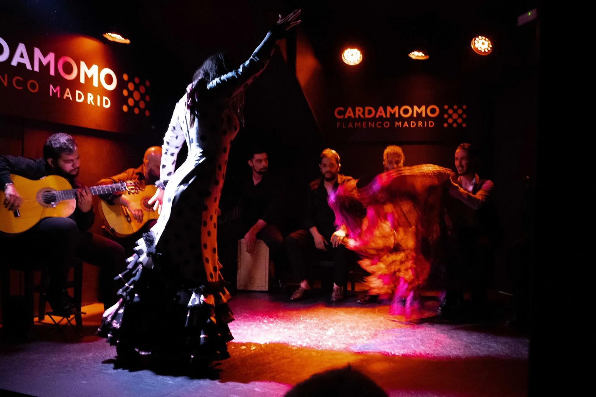 Group of visitors enjoying a live flamenco show in Madrid