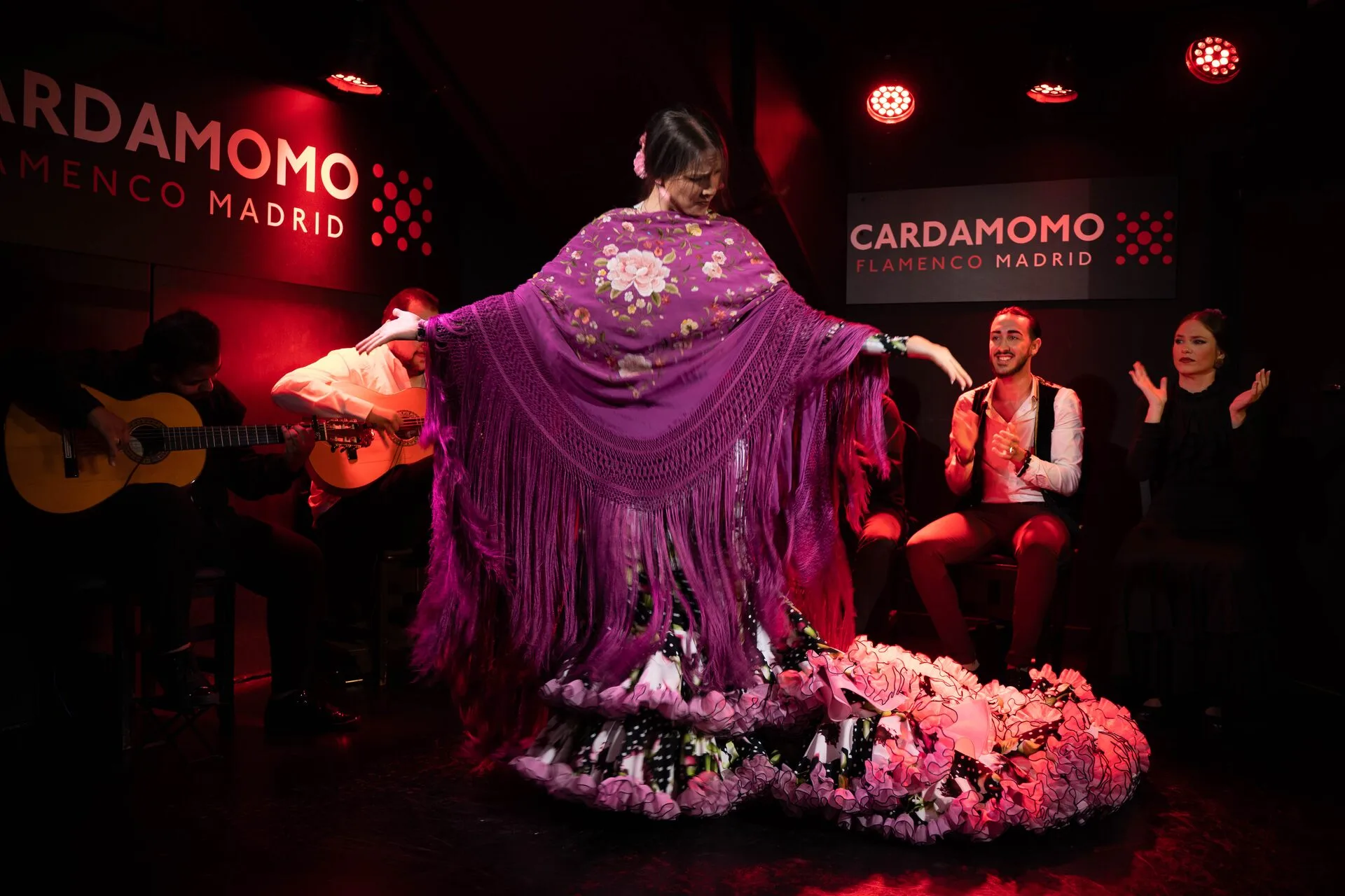 Live flamenco show at a tablao in Madrid